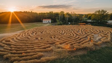 brentwood corn maze and pumpkin patch