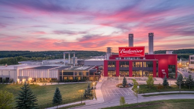 budweiser brewery experience