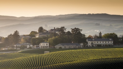 napa valley wineries