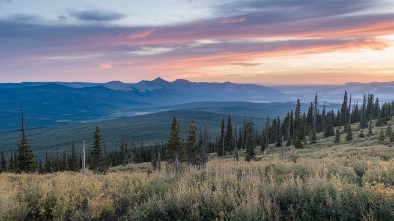 skyline wilderness park