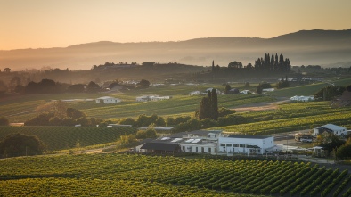 suisun valley wineries