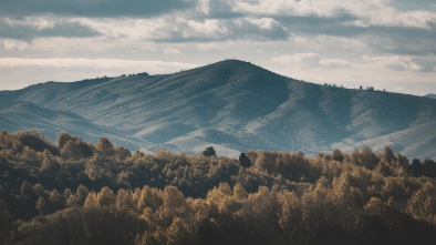 vintage hills